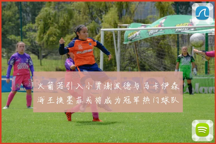 火箭若引入小贾谢泼德与马卡伊森海王换墨菲或将成为冠军热门球队